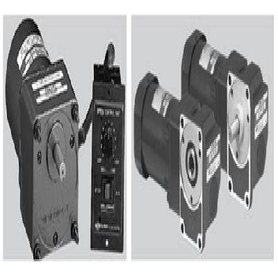 FHP SPG AC Geared Motor
