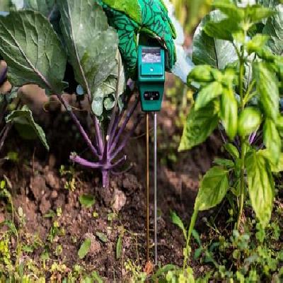 Soil Moisture Sensors