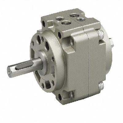 Pneumatic Rotary Actuator