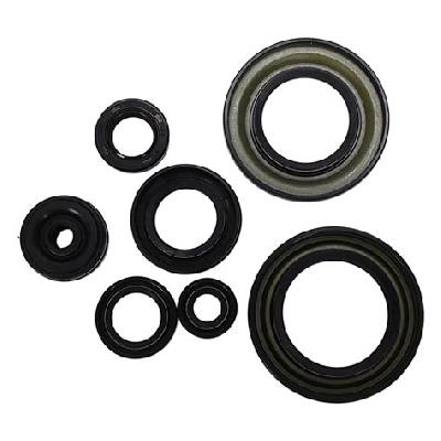 Rubber Sunny Oil Seal
