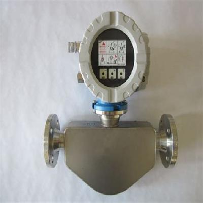 Endress Hauser Flow Meter