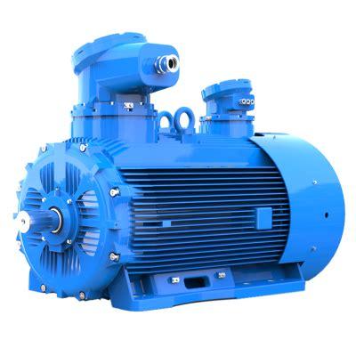 Flameproof Motors