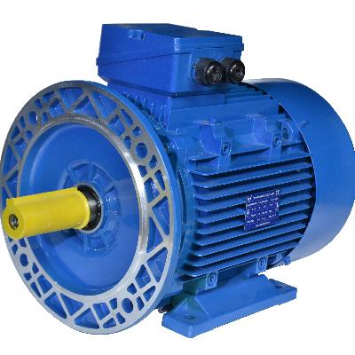3 Phase Induction Motors