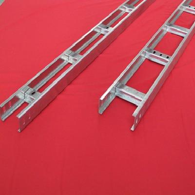 SS Ladder Tray