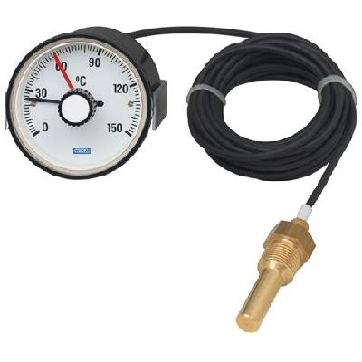 Expansion Thermometer With Micro Switch
