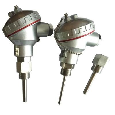 PT100 RTD Sensor