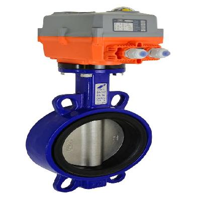 Actuator Valve