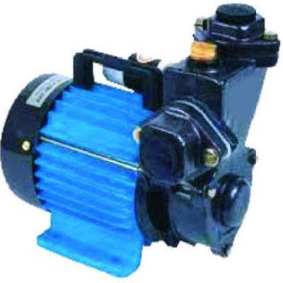 1 HP Water Motor Water Pump