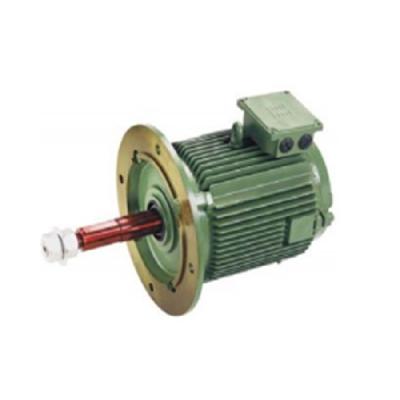 Flameproof Flange AC Motors