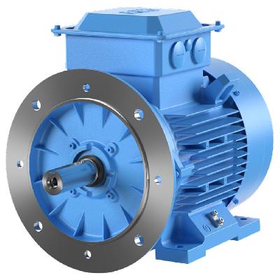 Foot Cum Flange Mounted AC Motor