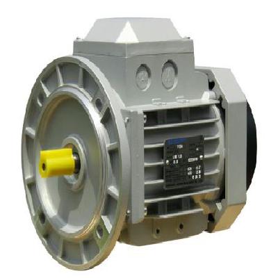 High Efficiency IE2 AC Motor