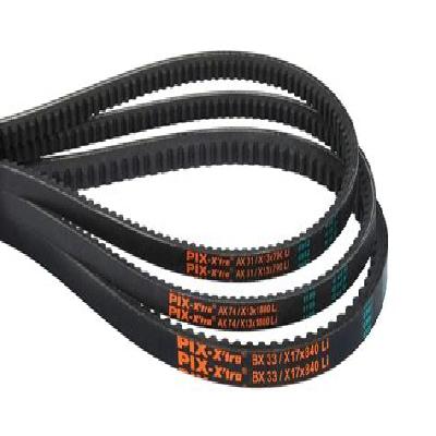 PIX V Belt
