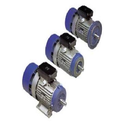 Rotomotive AC Brake Motors