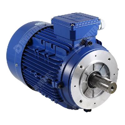 Rotomotive IE2 AC Motor