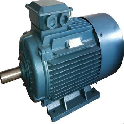 Three Phase Electric AC Motor