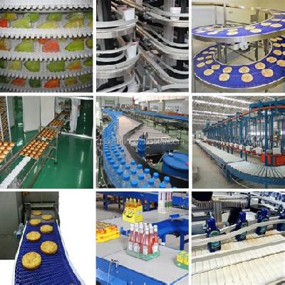 Dairy Conveyor Chain
