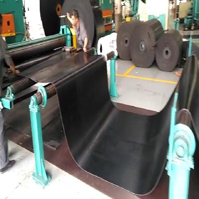Cotton Canvas Conveyor Belt