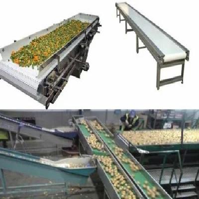 Hygienic Food Grade Belt