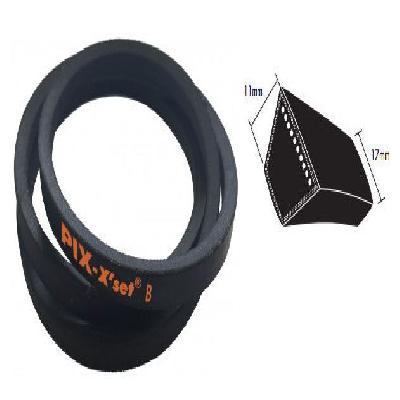 PIX BB Section V Belt