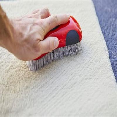 Carpet Cleaning Brush