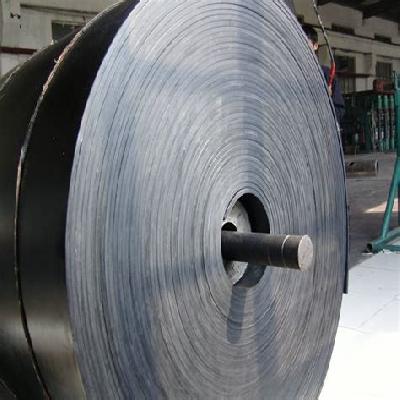 Chemical Resistant Elevator Belt