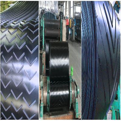 SS Wire Mesh Conveyor Belt