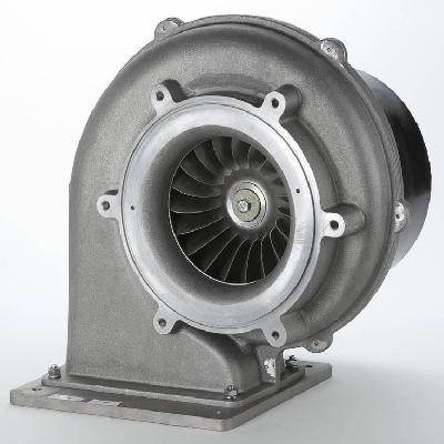 Combustion Blower
