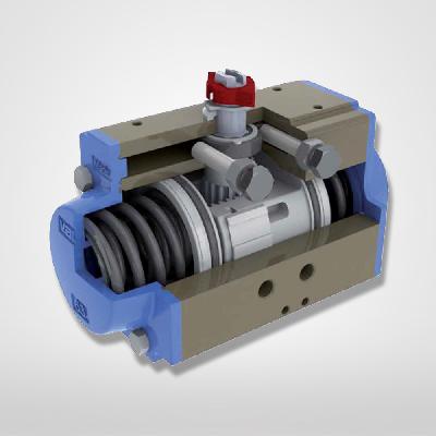 Pneumatic Actuator