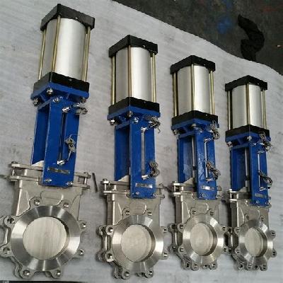 Pneumatic Gate Valve