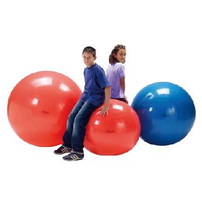 Gym Exercise Ball ( Physiotherapy Ball)