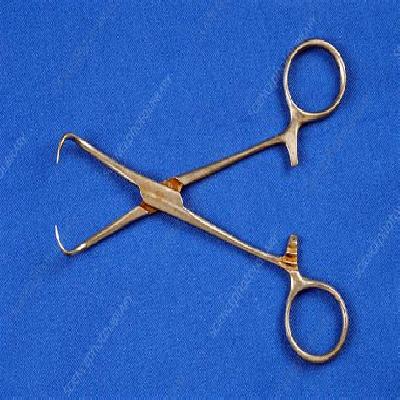 Towel Holding Forceps