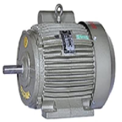 1 Phase 2 Hp Cast Iron Motor