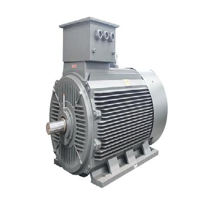 Double Capacitor Induction Motor