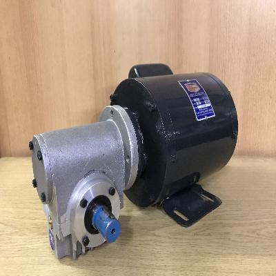 Single Phase Egg Turning Gearmotor