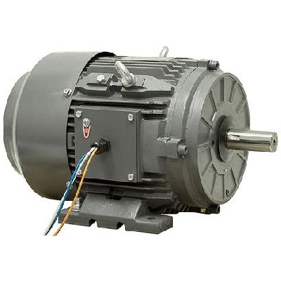 Three Phase 3 HP Motor
