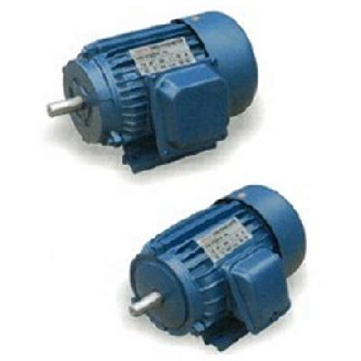 Three Phase Gear Motor