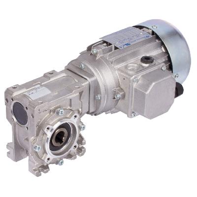 Worm Gearmotor