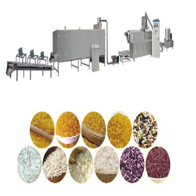 Fortified Rice Processing Line Plant Setup