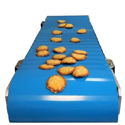 Positive Drive Conveyor Belt