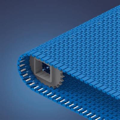 PP Modular Belt