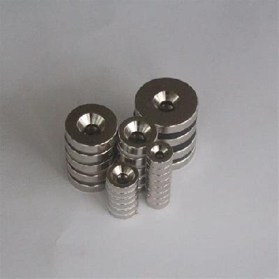 Neodymium Rare Earth Ring Magnet