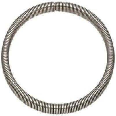SS Garter Spring