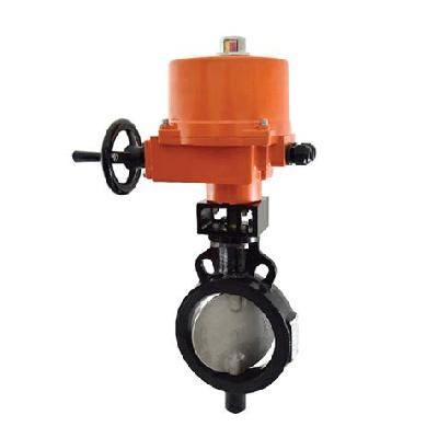 Butterfly Valve 