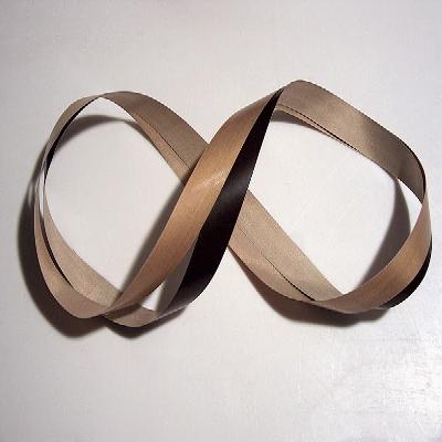 Two Ply Teflon Belt