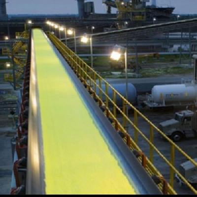 Chemical Resistant Conveyor Belt