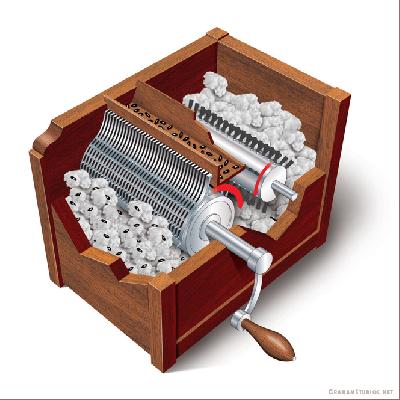 Each DR Gin Machine Raw Cotton Feeding System