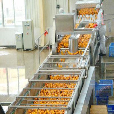 Fruit Juice Plant