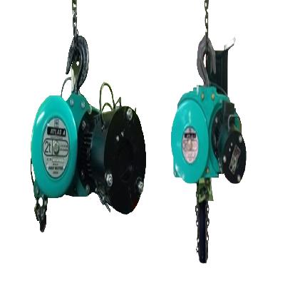 Motorized Chain Hoist