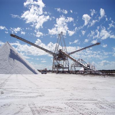 Salt Stacker Conveyor