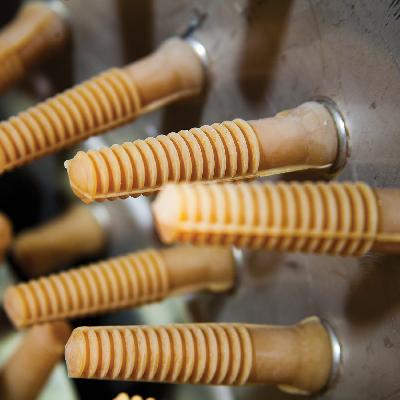 Chicken Plucker Rubber Finger